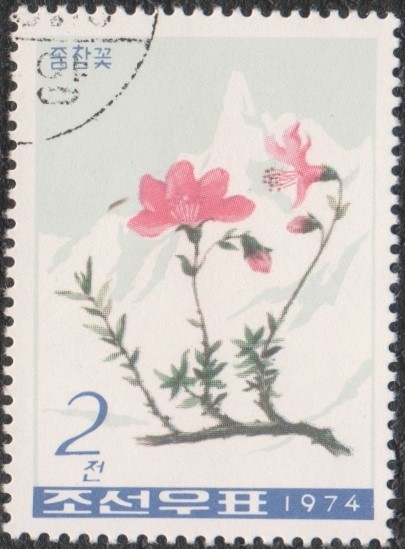 Corea del norte