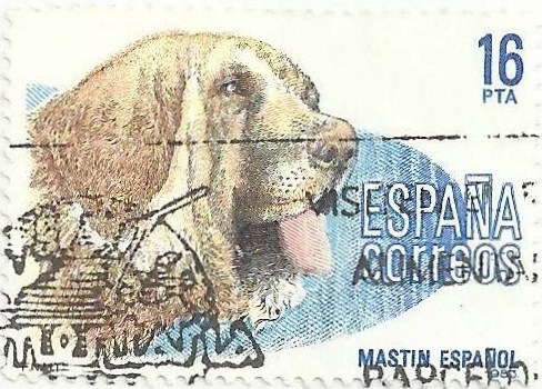 PERROS DE RAZAS ESPAÑOLAS. MASTÍN ESPAÑOL. EDIFIL 2712
