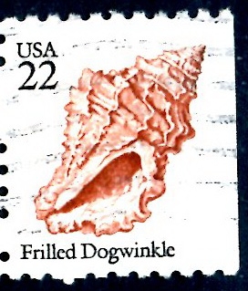 USA_SCOTT 2117.02 FRILLED DOGWINKLE. $0,2