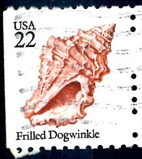 USA_SCOTT 2117.03 FRILLED DOGWINKLE. $0,2
