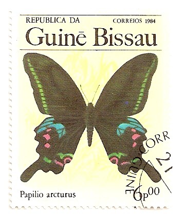 Mariposas. Papilio arcturus