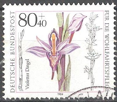 Por el bienestar,	Orquídea: Violeta Limodore.