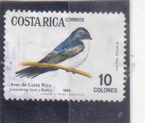 AVES DE COSTA RICA