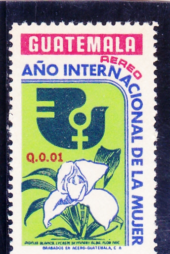 AÑO INTERNACIONAL DE LA MUJER