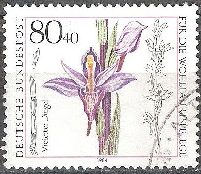 Por el bienestar,	Orquídea: Violeta Limodore.