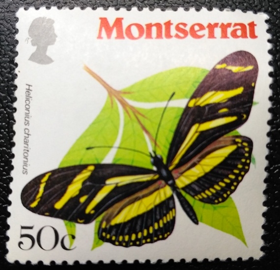 Montserrat Butterflies