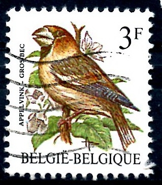 BELGICA_SCOTT 1219.04 GROS BEC. $0,2