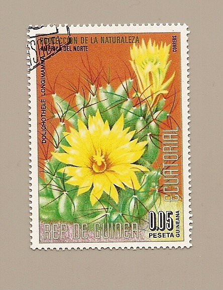 Protección de la Naturaleza - Flora de America del Norte