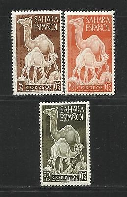 Sahara Edifil  91-92 y 93