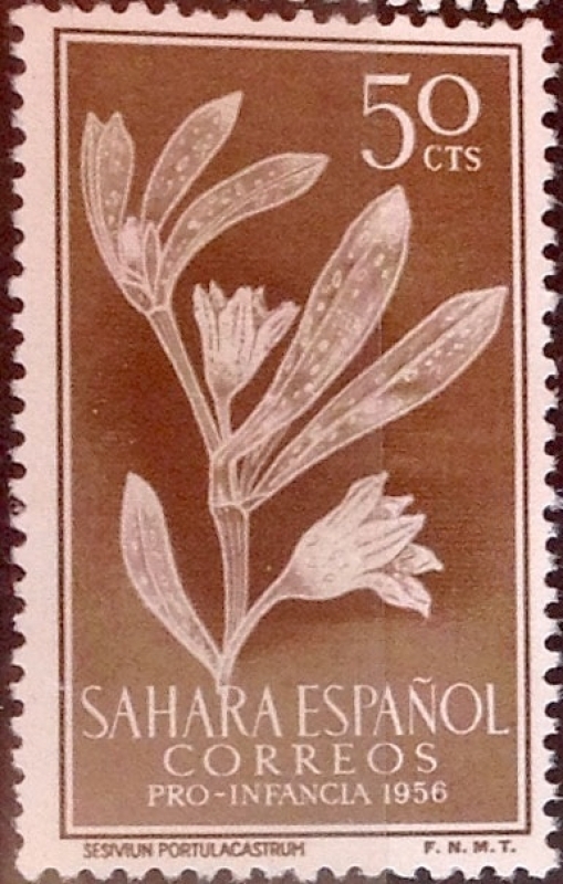 Sahara Edifil-129 