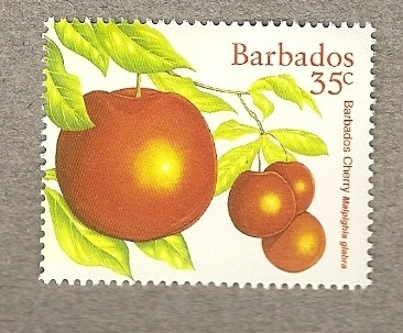 Cereza de Barbados