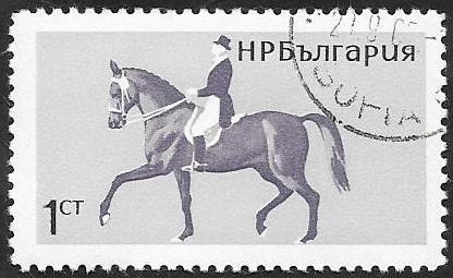 1356 - Hípica