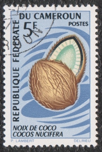 cocos nucifera