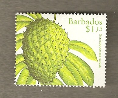 Annona muricata