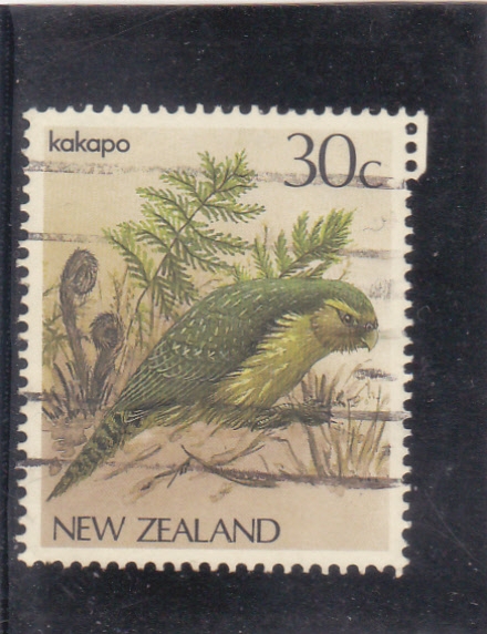 AVE- KAKAPO