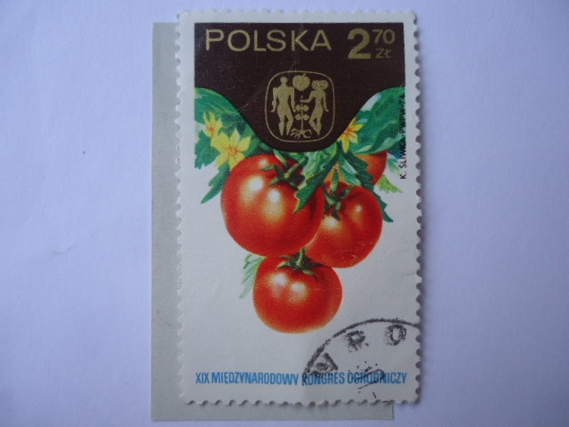 Tomates - XIX Miedzvnarodowy Rongres Ogrodniczy.