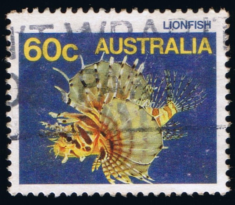 Lionfish