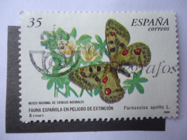 Ed:3694 - Museo Nacional de Ciencias Naturales.