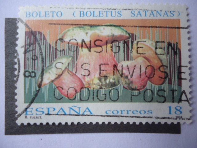 Ed:3279 - Boletos (Boletus Satanás)