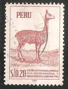 Vicuña