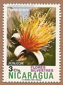 Flora - flores silvestres - Jilinjoche