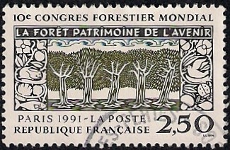 10º Congreso Forestal Mundial en París.