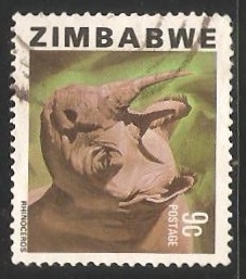 Rhinoceros