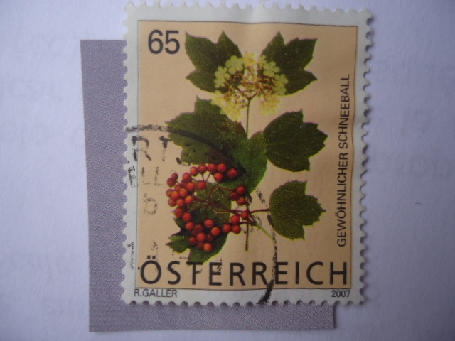 S/Austria:2098- gewohnlicher Schneeball.