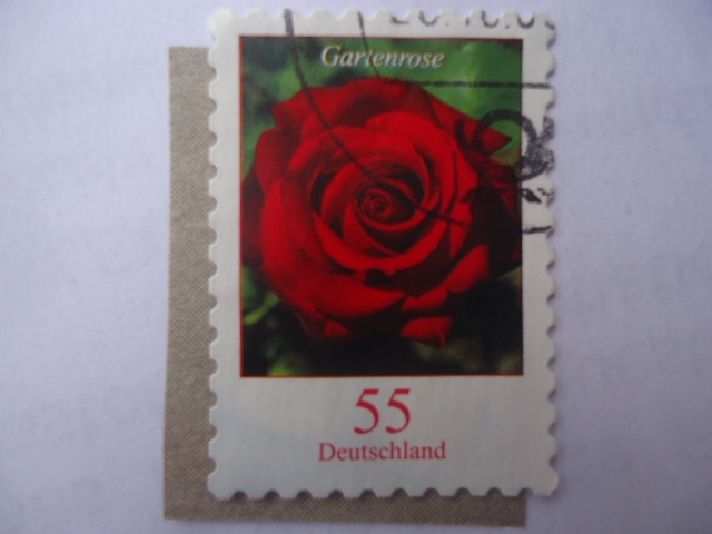 S/Alemania:2315 - Gartenrose.