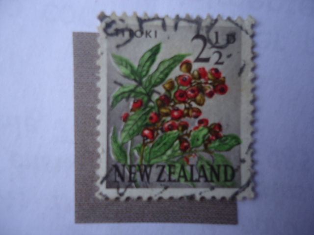 Titoki- (alectryon excelsus) Sello de 2,1/2 penique de Nueva Zeland.