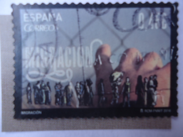 Ed:5031 - Migracion.