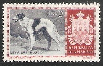 Borzoi