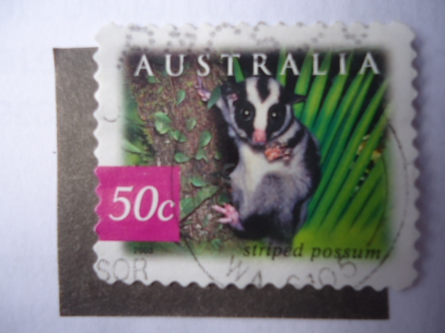 Scott/Australia N°2161 - Striped Possum.