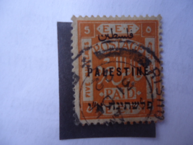 palestine 1956.