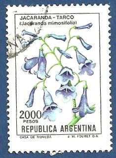 ARG Jacaranda Tarco 2000