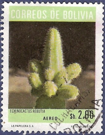 BOLIVIA Echinocactus rebutia 2 aéreo (1)