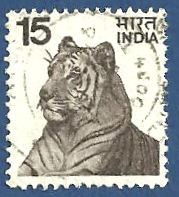 INDIA Tigre 15