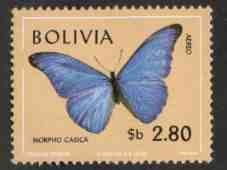 Fauna boliviana - mariposas en colores naturales