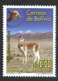 Fauna en vias de extincion - vicuñas y lagartos