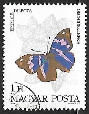 Mariposa