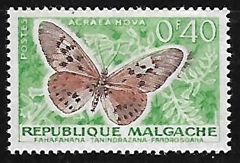 Mariposa