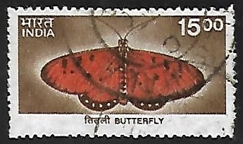 Mariposa