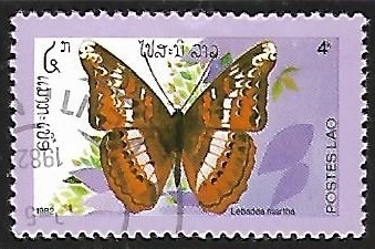 Mariposa