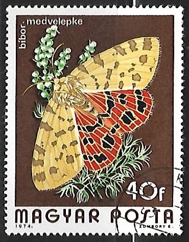 Mariposa