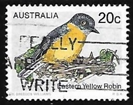 Eastern Yellow Robin