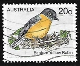 Eastern Yellow Robin