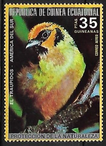 Tanager 