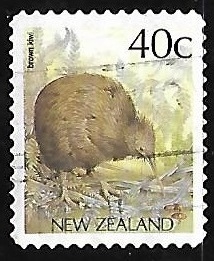 Brown Kiwi