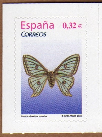 COL-FAUNA: MARIPOSA (GRAELLSIA ISABELAE)