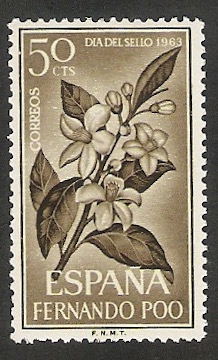 Fernando Poo - 221 - Flor de azahar